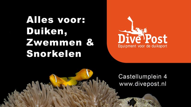 Dive Post