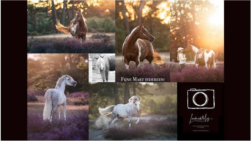 Linda van der Meij Fotografie