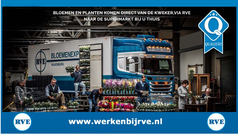 RVE